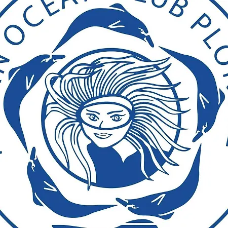 Mobil 3 Ch Confort - 4 Etoiles La Pignade La Tremblade