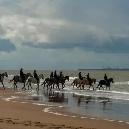 Mobil 3 Ch Confort - 4 Etoiles La Pignade *