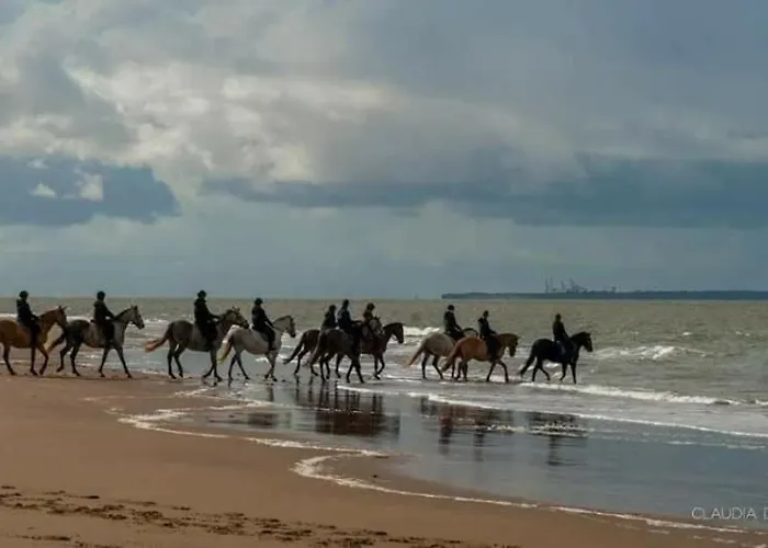 Mobil 3 Ch Confort - 4 étoiles La Pignade *